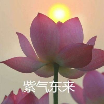 空城计h5微端下载